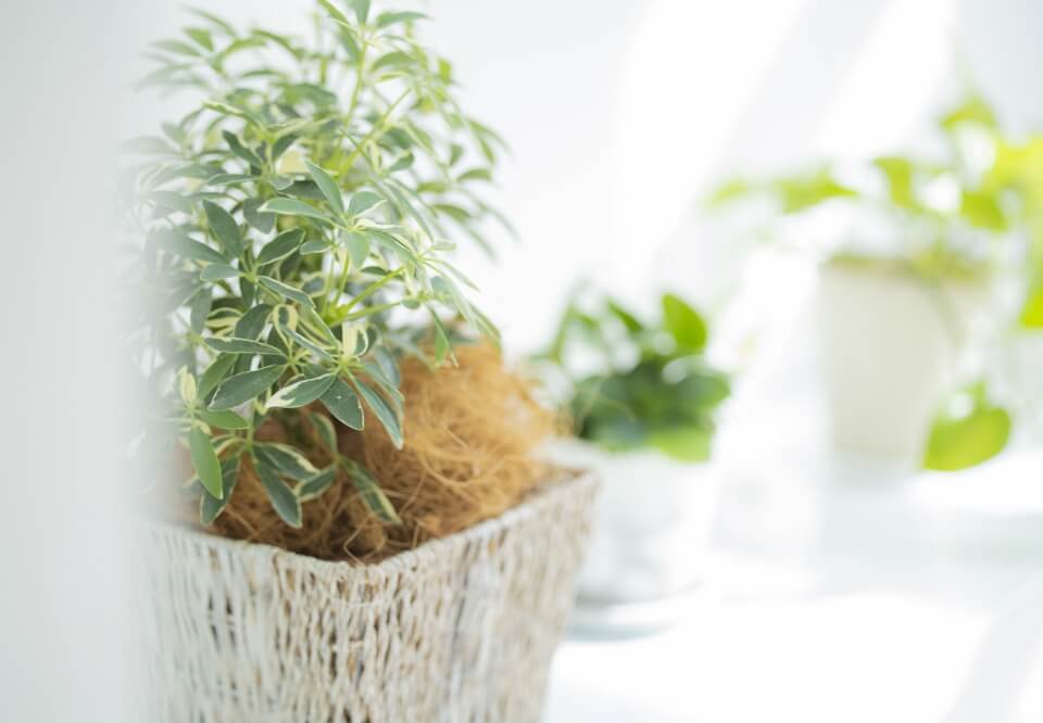 レディースプラン_画像04